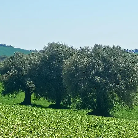 Casa de Férias Le Olghe