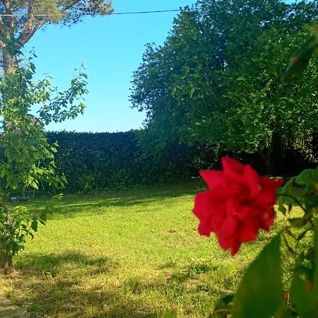 Дом отдыха Le Olghe