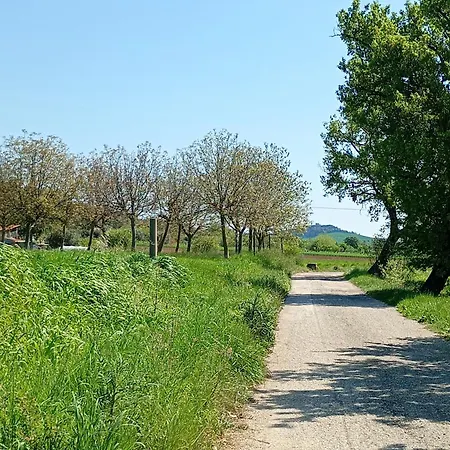 Le Olghe Loreto