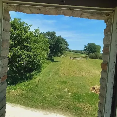 Le Olghe
