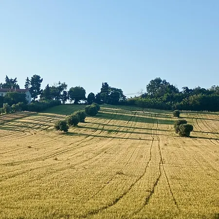Le Olghe