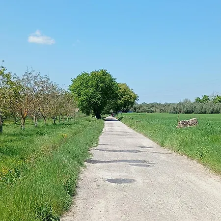 Le Olghe Casa de Férias Loreto