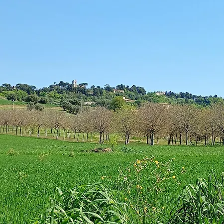Casa de Férias Le Olghe *