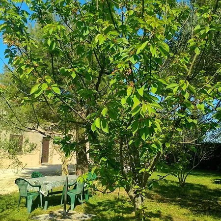 Le Olghe Casa de Férias